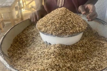 அரிசி ஆலைகள் குப்பையில் கொட்டும் அரிசியை உணவுக்கு பயன்படுத்தும் மக்கள்: வெளிவரும் காரணம்