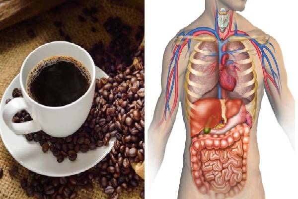 30 நாள் பிளாக் காபி குடிப்பதால் உடலில் நடக்கும் அற்புதங்கள் | What Will Happen Drinking Black Coffee Daily