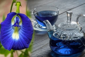 ப்ளூ டீ கேள்வி பட்டு இருக்கீங்களா? இது குடிச்சா என்னென்ன நடக்கும் தெரியுமா?