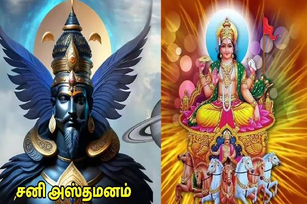 மீனத்தில் அஸ்தமனமாகும் சனி... அடுத்த 40 நாட்களுக்கு இந்த 3 ராசிகள் தான் ராஜா! | Hani Asta In Pisces 2026 Who Get Huge Money Luck