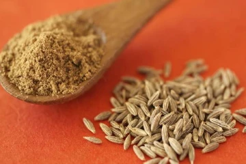 தமிழர்கள் அதிகம் பயன்படுத்தும் மருத்துவ மூலிகை ”சீரகம்”! ஒரே ஒரு ஸ்பூன் மட்டும் போதும்