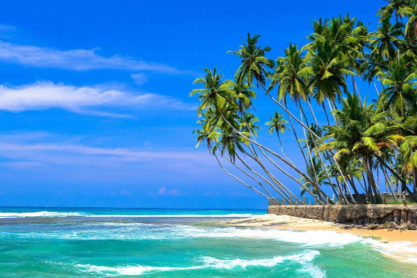 கனடிய-அமெரிக்க நடிகரை கவர்ந்த இலங்கையின் பிரதேசம் (காணொளி) | Sri Lanka Actor Ryan Reynolds Speaks First Movie கனடிய-அமெரிக்க நடிகரை கவர்ந்த இலங்கையின் பிரதேசம் (காணொளி) | Sri Lanka Actor Ryan Reynolds Speaks First Movie