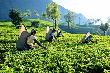 பெருந்தோட்ட தொழிலாளர்களின் சம்பள விடயம் தொடர்பாக நிர்வாக சபை கூட்டம்