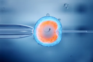 பெண்ணிடமிருந்து விந்தணு., ஆணிடமிருந்து கருமுட்டை, மாறும் மனித இனப்பெருக்க முறை