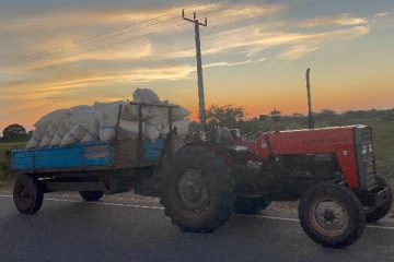 மன்னாரில் நெல்லுக்கு உரிய விலையும், விளைச்சலுமின்றி வீதியில் நிற்கும் விவசாயிகள் (Photos)