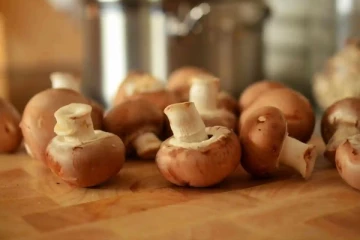 சமைக்கும் முன் காளான்களை வெயிலில் வைப்பதால் இவ்வளவு நன்மைகளா?