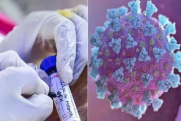 உச்சம் தொடும் கொரோனா, ஒமிக்ரான் தொற்று: அமெரிக்க ஆராய்ச்சியாளர் அளித்த குட் நியூஸ்