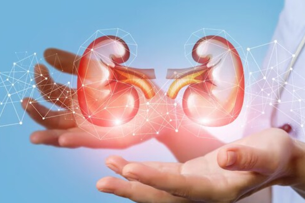 ඔයාටත් දැන් දැන් මේ ඉඟි ලැබෙනවා නම් වකුගඩුවල තත්ත්වේ භයානකයි | Night Urination Could Signal Kidney Damage