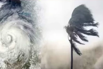 மிரட்டும் ஃபெஞ்சல் புயல் - எந்தெந்த மாவட்டங்களுக்கு விடுமுறை? சென்னையில் பேருந்துகள் நிறுத்தமா?