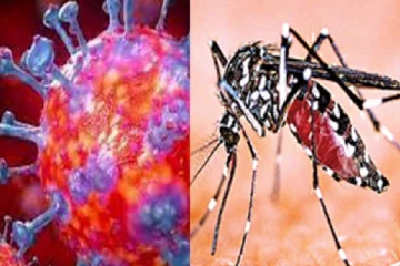 கொரோனாவுடன் டெங்கு நோய் பாதித்த நோயாளிகள்