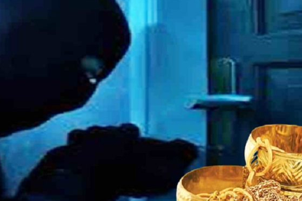 யாழில் ஆளில்லாத வீட்டில் ஆட்டைய போட்ட திருடன்! | A Thief Who Put A Goat In An Empty House In Yali