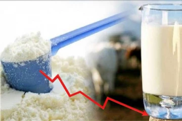 பால் மா விலை குறைப்பு தொடர்பில் வெளியான புதிய அறிவிப்பு