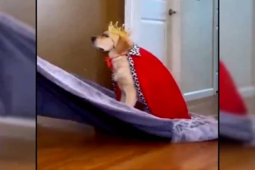 இது என்ன புதிய இளவரசரா? திகைப்பில் இணையவாசிகள்