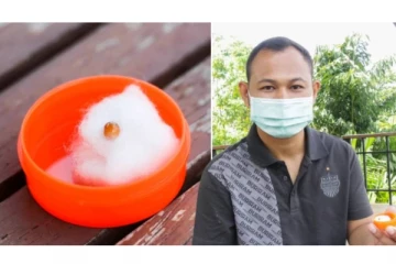 கடல் நத்தையை வறுத்து தின்று கொண்டிருந்த நபருக்கு அடித்த அதிர்ஷ்டம்! உள்ளே என்ன இருந்தது தெரியுமா? ஆச்சரிய தகவல்