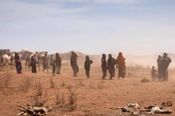 கென்யாவில் வரலாறு காணாத அளவு வறட்சி: உயிரிழக்கும் வன விலங்குகள்