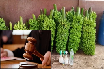 யாழ் திருவிழாவில் அன்னதானத்துக்கு விஷம் கலந்த வாழைக்குலைகள் ; நீதிமன்றம் அதிரடி தீர்ப்பு