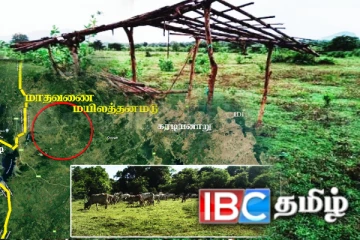 மயிலத்தமடுவில் 3000 ஏக்கர் காணியை விடுவிக்க திட்டம்! அரசாங்கத்தின் நடவடிக்கை