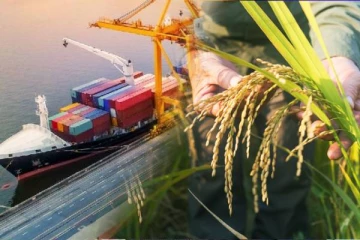 அரிசி இறக்குமதி தொடர்பில் விவசாய அமைச்சு வெளியிட்ட தகவல்