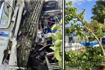 மட்டக்களப்பு கிரான்குளத்தில் தனியார் பேருந்து விபத்து