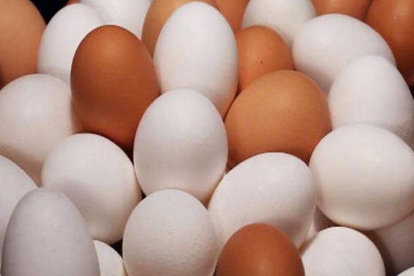 இலங்கையில் முட்டைக்கு ஏற்படவுள்ள அபாயம்! | Sri Lanka Shortage In The Market For Egg