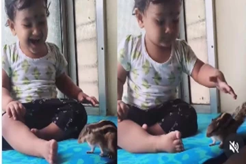 Viral Video: கவலையை மறக்க செய்யும் காணொளி... அணிலின் பரிதாப நிலையைப் பாருங்க