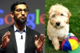 Google CEO சுந்தர் பிச்சையின் சிறந்த Work Partner யார் தெரியுமா?
