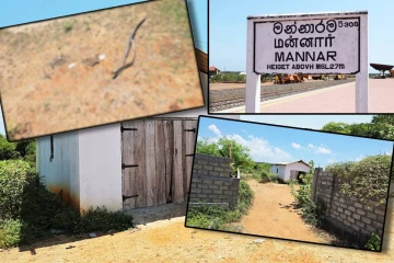 மன்னாரில் வீதியில் வீசப்படும் மனித உடல் பாகங்கள்! மக்கள் கடும் விசனம்