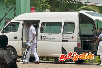 தேனீ கொட்டுக்கு இலக்காகிய பாடசாலை மாணவர்கள்