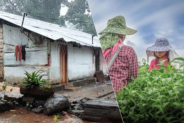 ரணில் உள்நாட்டில் தமிழர்களுக்கு தவறான சமிக்ஞைகளையே தருகிறார் - மனோ கணேசன் | Ranil Provides Wrong Signals To Sl Tamils ரணில் உள்நாட்டில் தமிழர்களுக்கு தவறான சமிக்ஞைகளையே தருகிறார் - மனோ கணேசன் | Ranil Provides Wrong Signals To Sl Tamils