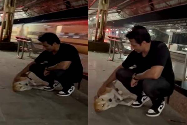 ரயில் நிலைய நாய்கள் மீது அன்பை பொழியும் சோனு சூட்: வைரல் வீடியோ! | Viral Video