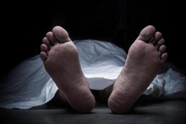 மரத்தில் இருந்து கீழே தவிறி விழுந்து நபர் உயிரிழப்பு | Person Fell From A Tree And Died
