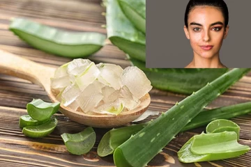 சருமத்திற்கு கற்றாழை ஜெல்லை எப்படி பயன்படுத்த வேண்டும் தெரியுமா?