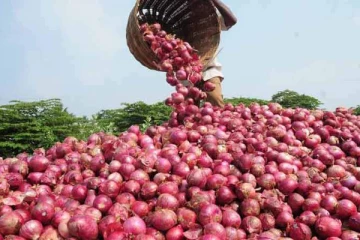 பெரிய வெங்காயத்தின் விலை அதிகரிப்பா? வெளியான அறிவிப்பு