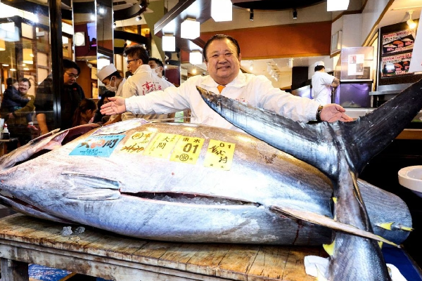 ஒரு மீனின் விலை ரூ.28 கோடியா? அப்படியென்ன ஸ்பெஷல் இதில்! | Tuna Fish Sell For Record Rs 28 Crore In Japan ஒரு மீனின் விலை ரூ.28 கோடியா? அப்படியென்ன ஸ்பெஷல் இதில்! | Tuna Fish Sell For Record Rs 28 Crore In Japan