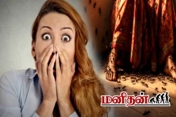 எறும்புகளுக்கு பயப்படுவது அரிய வகை நோயா? இளம்பெண்ணின் உயிரை பறித்த சோகம்