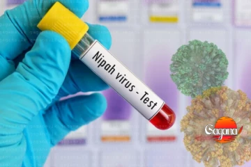 නිපා වෛරසයෙන් ලංකාවට අවදානමක්ද? සෞඛ්‍ය අමාත්‍යාංශයෙන් නිවේදනයක්