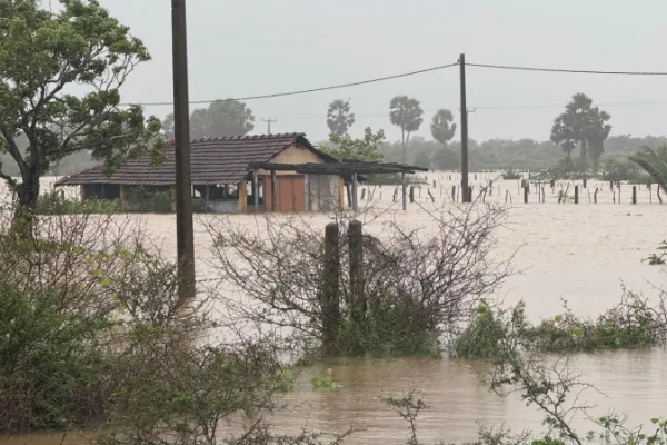 மன்னாரில் தொடர்பின்றி சிக்கித் தவிக்கும் 310 மக்கள் | Extreme Weather 310 People Mannar Nocommunication மன்னாரில் தொடர்பின்றி சிக்கித் தவிக்கும் 310 மக்கள் | Extreme Weather 310 People Mannar Nocommunication