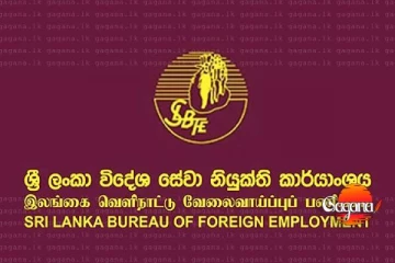 මෝල්ඩා රැකියා පෙන්වා කරන මිනිස් ජාවාරමක් ගැන තතු හෙළිවේ