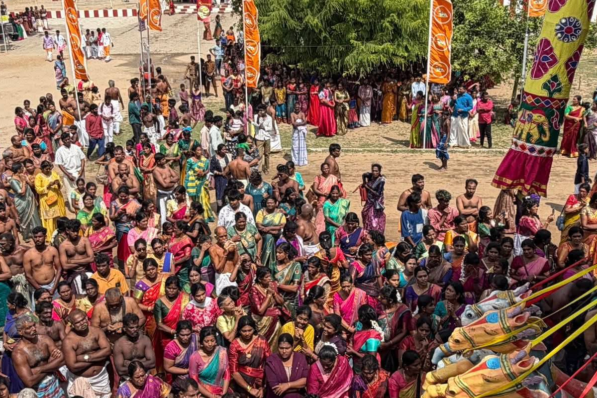 வரலாற்றுச் சிறப்புமிக்க மன்னார் திருக்கேதீச்சர ஆலய தேர்த்திருவிழா | Mannar Thiruketheeswaram Temple Chariot Festival