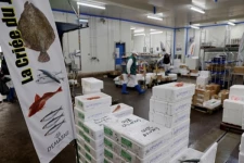 பிரெக்சிட் மீதான வெறுப்பைக் காட்டும் பிரான்ஸ் அதிகாரிகள்... பாதிக்கப்படும் மீன் வர்த்தகர்கள் புலம்பல்