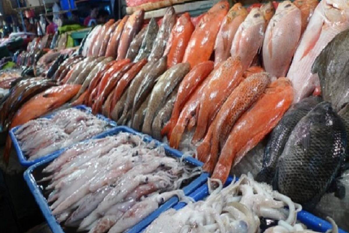 மீன் கழிவால் உரம் தயாரிப்பு ; மக்களுக்கு துர்நாற்றம் பாதிப்பு | Fish Waste Fertilizer Production Impact People