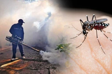 டெங்கு கட்டுப்பாட்டு நடவடிக்கையை புறக்கணிக்கும் மக்கள்