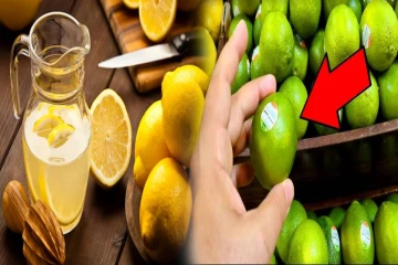 நீங்க வாங்கும் எலுமிச்சை பழத்தின் உள்ளே சாறே இல்லையா? இனி இப்படி பார்த்து வாங்குங்க!