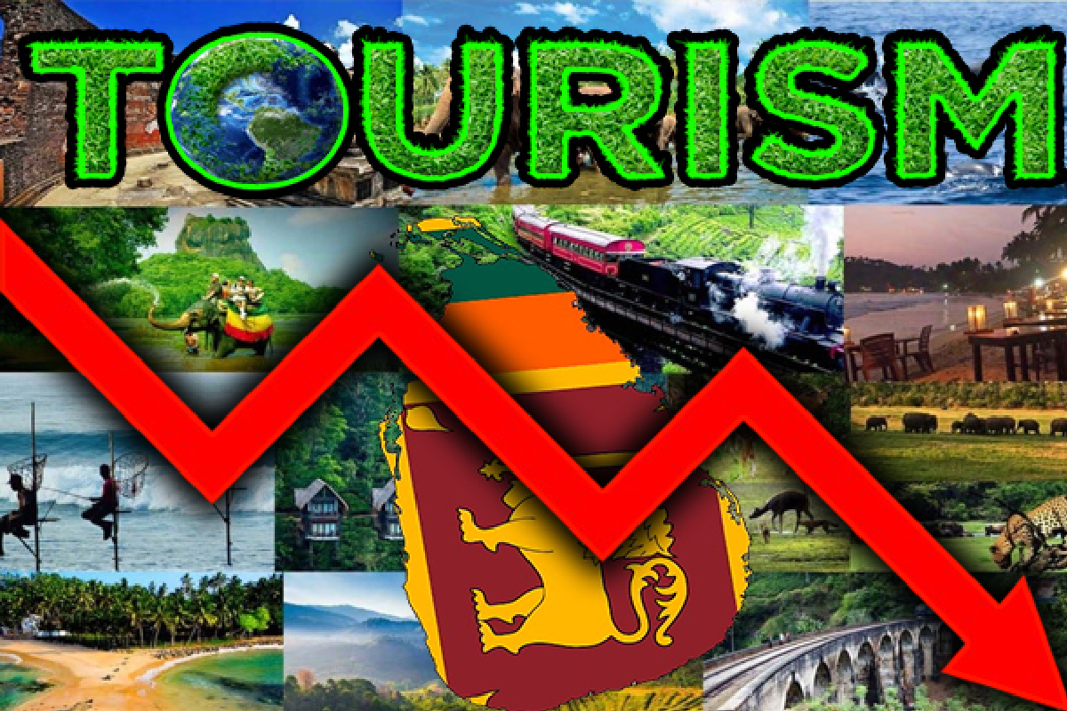 சுற்றுலாப் பயணிகளின் வருகையில் வீழ்ச்சி | Tourist Arrivals Drop By 10 Persentage In June
