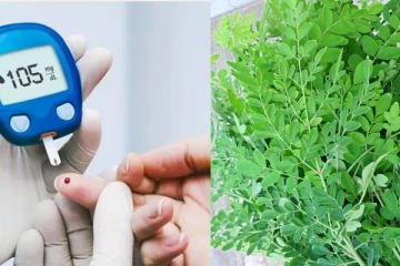 சர்க்கரை நோயாளிக்கு இயற்கை மருந்தாக பயன்படும் முருங்கை கீரை ஏன் தெரியுமா?