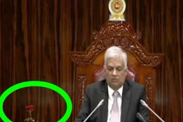 ஜனாதிபதி ரணில் அருகில் ஒற்றை சிவப்பு ரோஜா!  வைரலாகும் புகைப்படம்