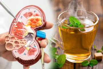 சிறுநீரக கற்களை கரைக்க உதவும் மூலிகை டீ.., எப்படி தயாரிப்பது?