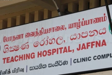 மூன்று மாத நாய்க்குட்டியால் குடும்பஸ்தர் உயிரிழப்பு