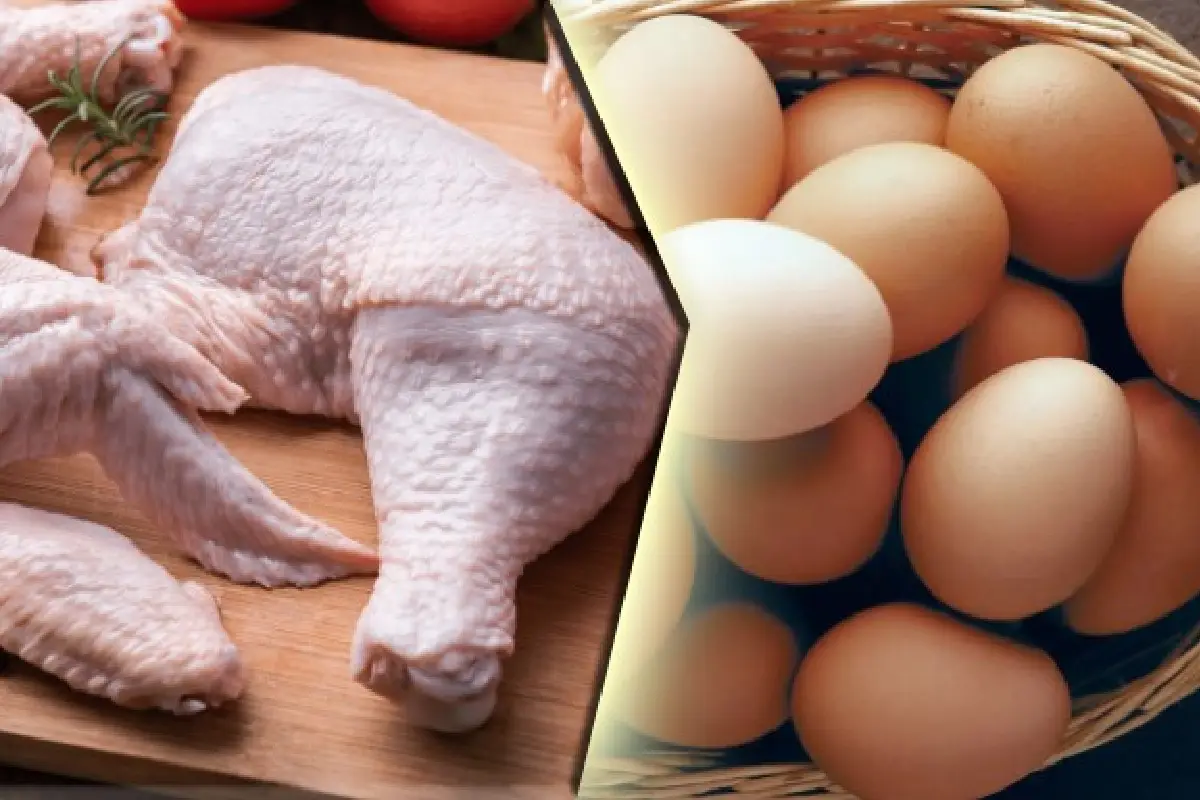 இறைச்சி மற்றும் முட்டை விலை அதிகரிப்பு - வெளியான தகவல் | Chicken And Egg Prices Will Increase
