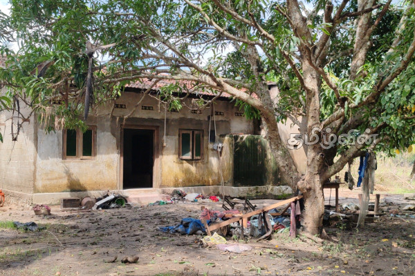 வவுனியாவில் வீதியோரத்தில் கொட்டகைக்குள் வசிக்கும் மக்கள்! விடுக்கப்பட்டுள்ள கோரிக்கை | People Living Sheds Roadside Due To Flood Disaster வவுனியாவில் வீதியோரத்தில் கொட்டகைக்குள் வசிக்கும் மக்கள்! விடுக்கப்பட்டுள்ள கோரிக்கை | People Living Sheds Roadside Due To Flood Disaster